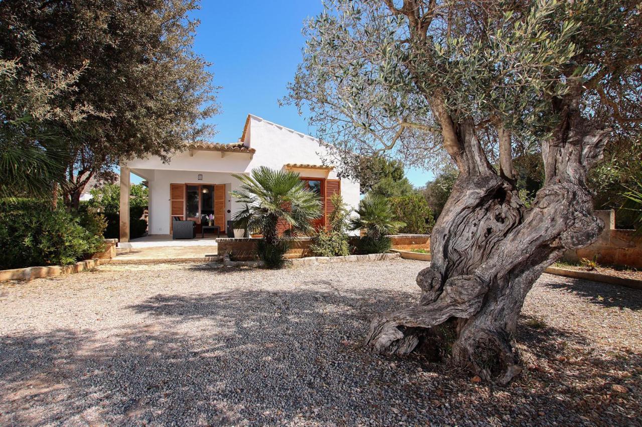 Villa La Vinya Can Oliver - Oliver Pollença Екстериор снимка